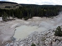 Yellowstone Mud Volcano Area (29).JPG